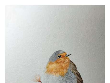 Exposition Aquarelles Animalières - Bernard Teboul