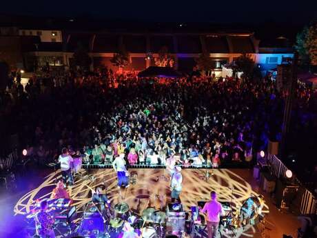 Décroissance - Le Festival - CONCERTS
