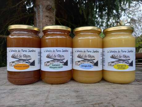 La safranière des Pierres Jaumâtres