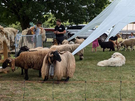 Vacances de Toussaint à la ferme de Maillofargueix