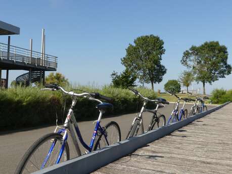 Vendredi vélo à Terres d'Oiseaux