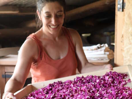 Rendez-vous avec l’artisanat local et la passion créative !