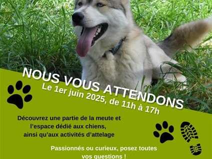 Portes-Ouvertes - Immersion mushing