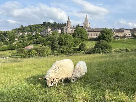 Circuit Pédestre n° B5 De Sauzet à La Toueille