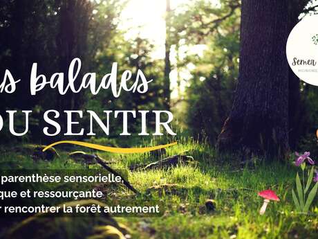 Les balades du sentir Meyrignac l'Eglise