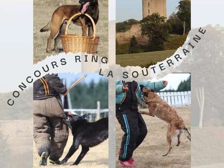Traditionnel concours Ring