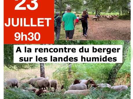 A la rencontre du bergersur les landes humides