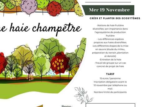 Créer une haie fruitière diversifiée
