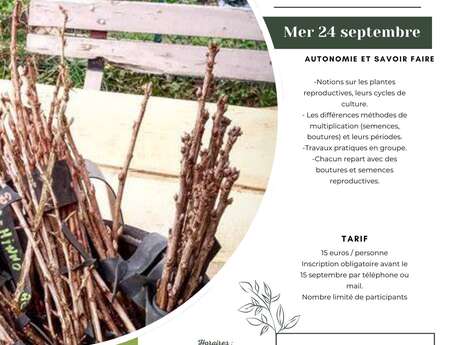 Faire ses semences et ses boutures