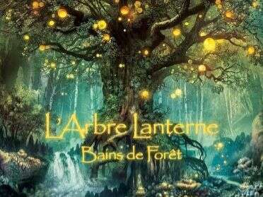 Séance découverte des bains de forêt
