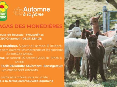 Automne à la ferme - Les Alpagas des Monédières