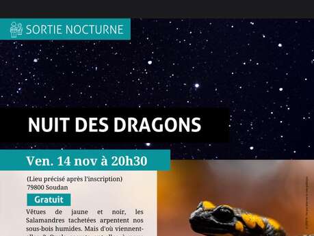 SORTIE NATURE : Nuit des dragons