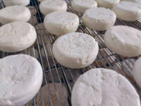 La Ferme La chèvre et le Chou