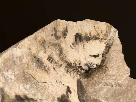 Expositions : Les pierres qui parlent de Marie-Antoinette Bassieux