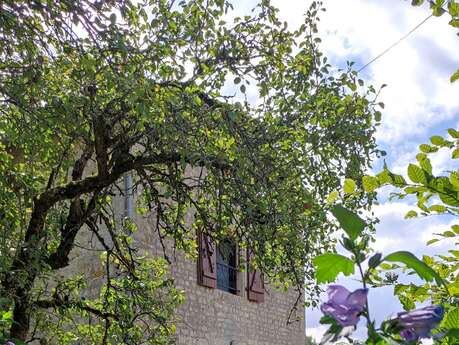 Clos maizange