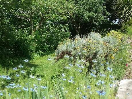 Les jardins de Nigelle