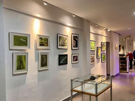 Exposition de photos du LAN au Foyer Rural