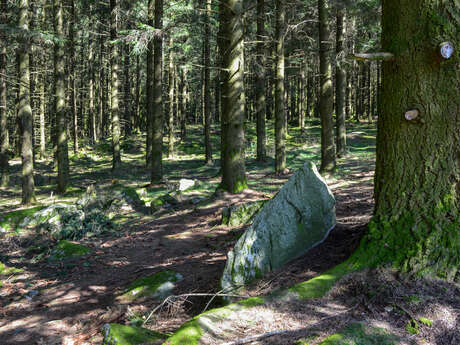 Circuit Trail n°5 : les rochers de Chabrières Circuit Trail n°5 : les rochers de Chabrières