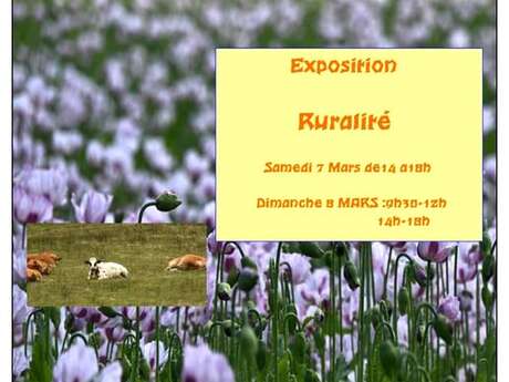 Exposition ruralité