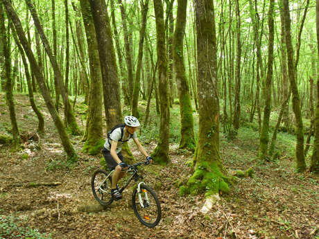 Circuit VTT n°23 - Aux alentours de l'étang de la Chaume