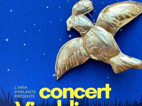 Concert Vivaldi