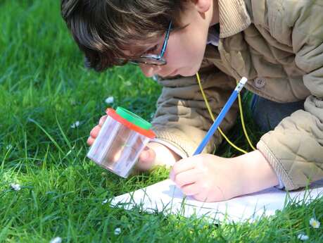 Enquête au marais à Terres d'Oiseaux