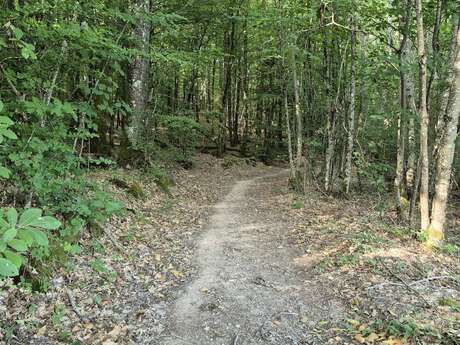 Circuit pédestre n° B3 Le Bois de l'Age