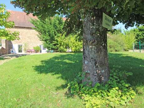 Gîte au pré