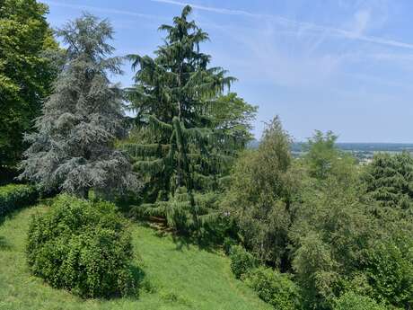 Oppidum de Morlanne