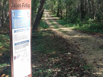 Le sentier de la motte castrale - Saint Félix de Villadeix