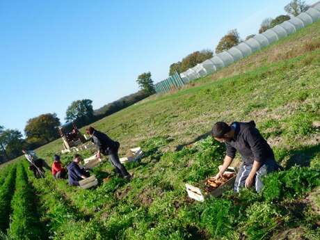 Jard’Insolite : un jardin bio, solidaire et vivant
