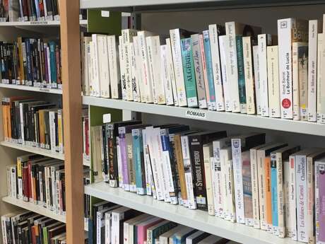 Bibliothèque de Bosmie l'Aiguille