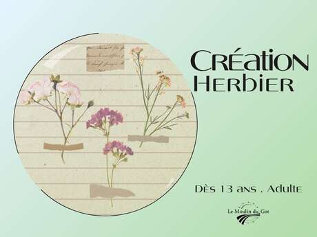 Création d’un herbier au Moulin du Got
