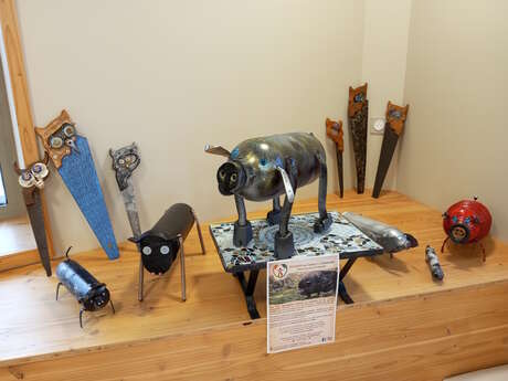 Exposition – Dans les pas de Rosalie