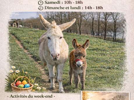 Pâques à la ferme du petit âge