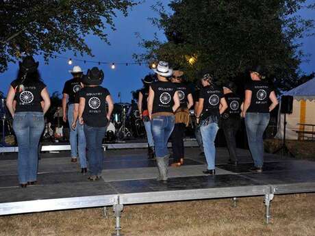 Les visiteurs du soir : Spectacle de country