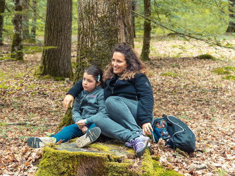 Bain de forêt en famille