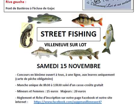 Street fishing Villeneuve