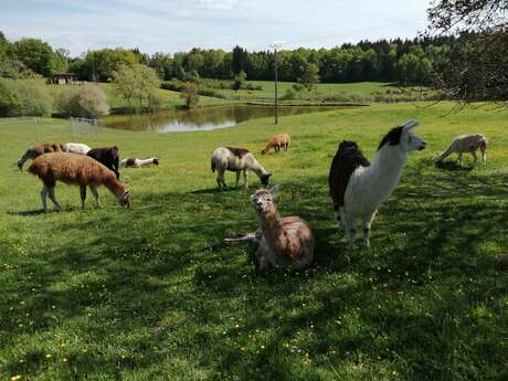 Ferme de Lama'ziere Ferme de Lama'ziere
