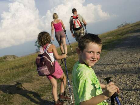 La forêt de la Chapelle aux Brocs