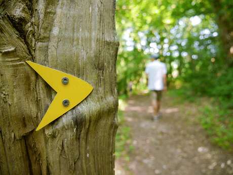 Parcours Tulle Nature : N°3 Maugein