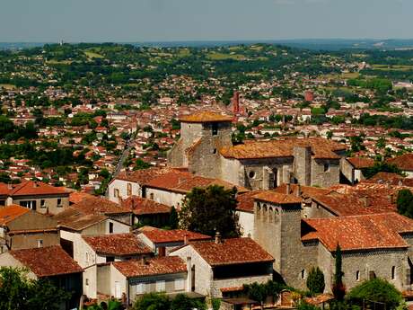 Pujols transformations