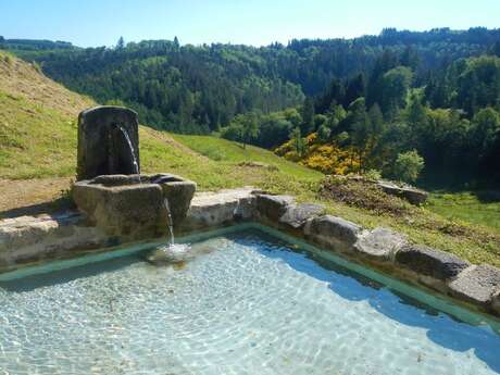 Vallon des Six Fontaines Vallon des Six Fontaines