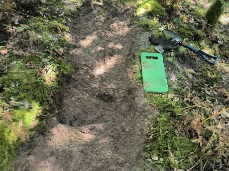 Journées Européennes du Patrimoine : Atelier Récoltes en partage au jardin des Vitailles