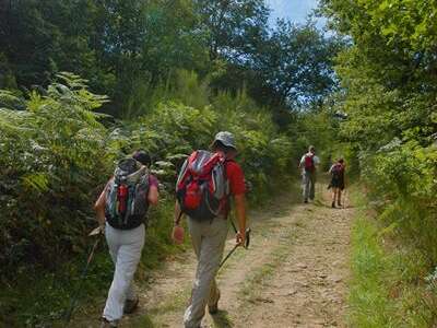 Balade en forêt des loges