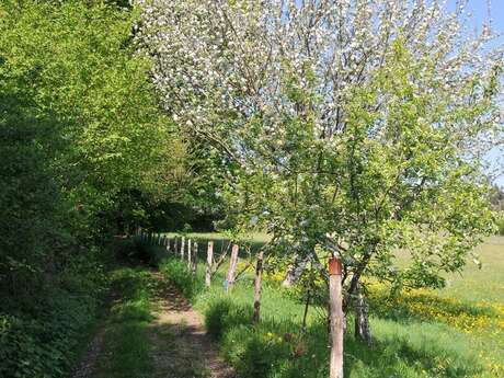 Sentier des forges et des moulins