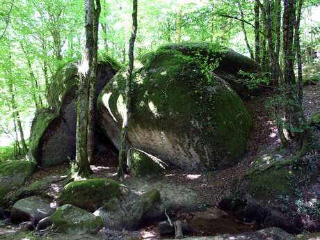 Sentier les Aubespins