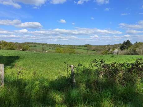 Chemin de Boireau