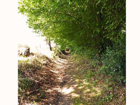 Les Hauts d'Oradour
