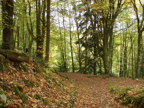 Sentier des carrières